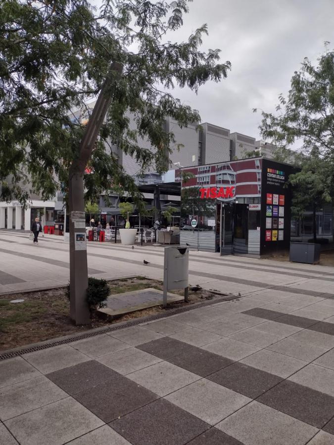 Apartman Zita 奥西耶克 外观 照片